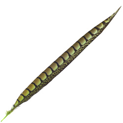 FFGene Piume di coda di fagiano di Lady Amherst