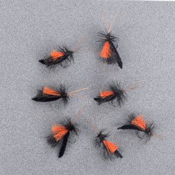Poly Wings Extended Body Black Caddis
