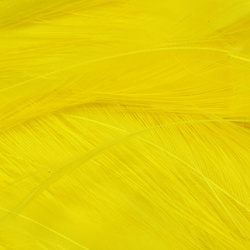 Hareline Piume hackle del collo per acqua salata