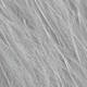 Pearl Gray
