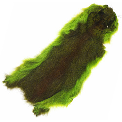 Wapsi Pelle intera di Pine Squirrel