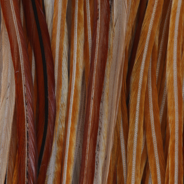 Waders Taimen Expert