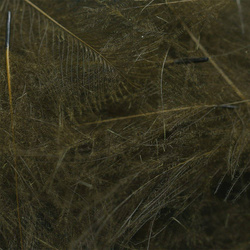 Spirit River UV2 Select CDC