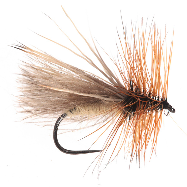 CDC Elk Sedge Oro