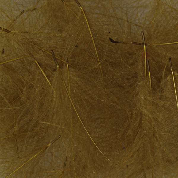 Hareline Piume cul de canard (CDC)