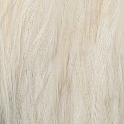 Wapsi Dry Fly Rooster Necks