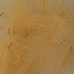 Hareline Cul De Canard