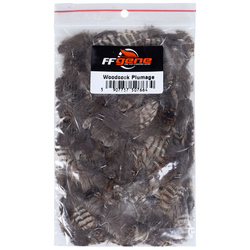 FFGene Beccaccia Piumaggio