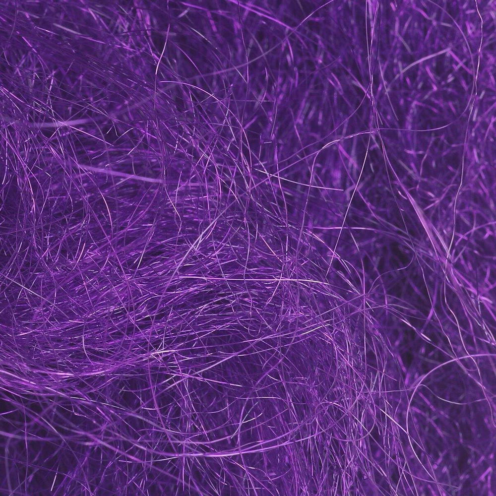 Purple Violet