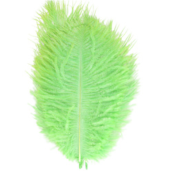 FFGene Piume hackle di struzzo