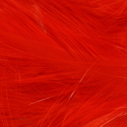 Hareline Piume hackle del collo per acqua salata