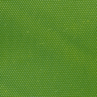Insect Green