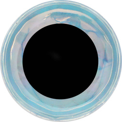 Occhi per mosche FFGene Soft 3D- Eyes