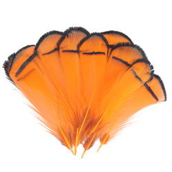 FFGene Piume tippet di fagiano di Lady Amherst