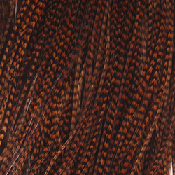 Sella di gallo Keough Hackle per mosche secche