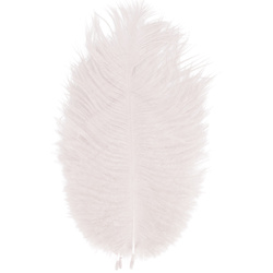 FFGene Piume hackle di struzzo