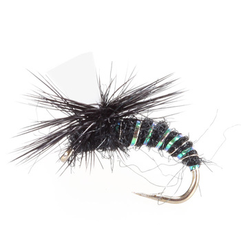 Ali di schiuma nera Paracadute nero