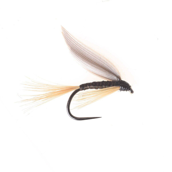 Zenzero Quill