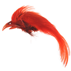 Hareline Dyed Golden Pheasant Crest