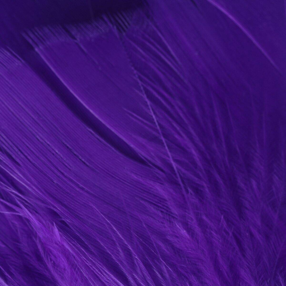 Bright Purple