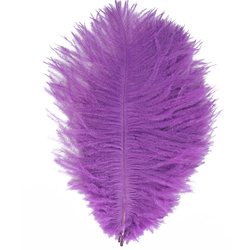 FFGene Piume hackle di struzzo