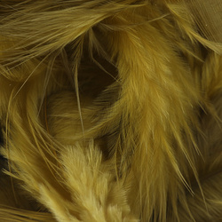 Metz Piume da hackle morbida