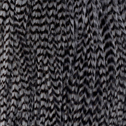 Ewing Grizzly Whole Saddles