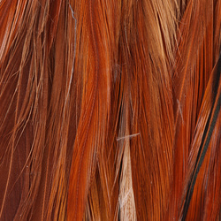 Hareline Piume di sella di gallo per hackle Woolly Bugger 6-7
