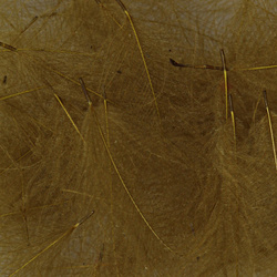 Hareline Piume cul de canard (CDC)