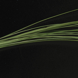 Hareline Quill per corpi