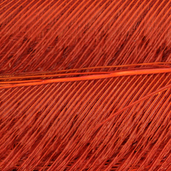 FFGene Peacock Sword Bleached