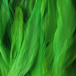 FFGene Piume schlappen di gallo