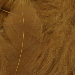 Wapsi White Matuka Soft Hackle