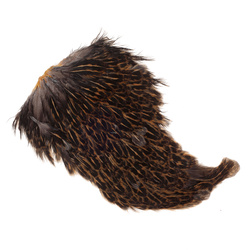 Sella di gallina maculata FFGene India