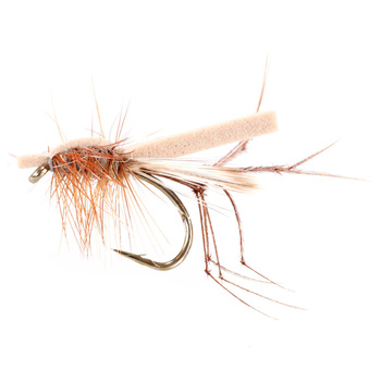 Daddy Long Legs Schiuma Corpo Naturale