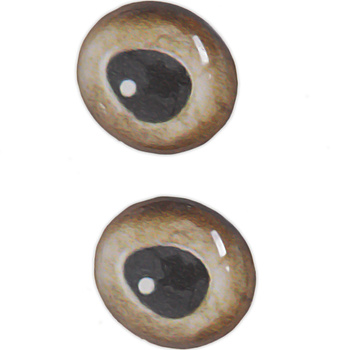 Occhi per mosche Sybai 3D Epoxy Eyes Real