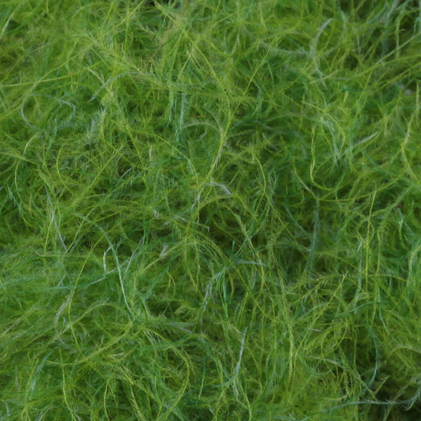 FFGene Dubbing in fibre CDC