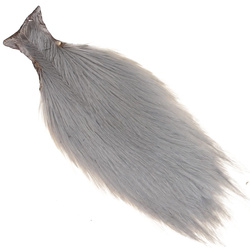 Collo di gallo intero Ewing