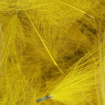 FFGene CDC Color Jambo, confezione di piume - 1 gr