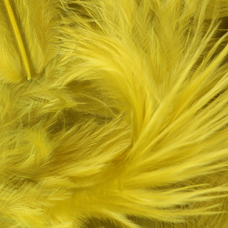 Metz Piume da hackle morbida