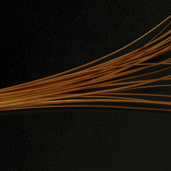 Hareline Quill per corpi