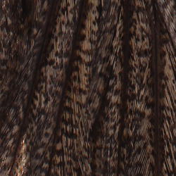 Whiting Coq De Leon Selle di gallo