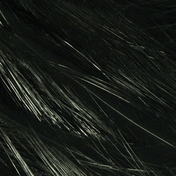 Hareline Piume hackle del collo per acqua salata