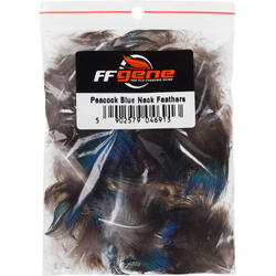 FFGene Piume blu del collo di pavone