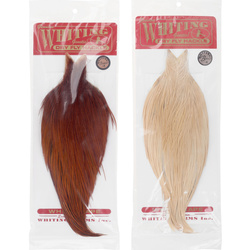 Collo di gallo Whiting Bronze