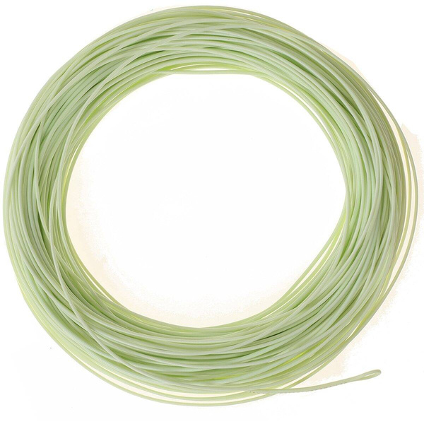 Coda di topo Negnon Omega Orionis ULT Presentation