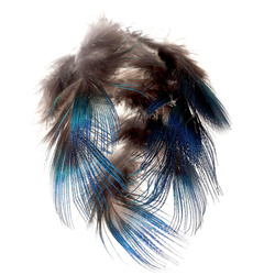 FFGene Piume blu del collo di pavone