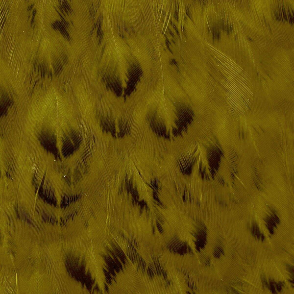 Wapsi Soft Hackle Hen Saddle Patch