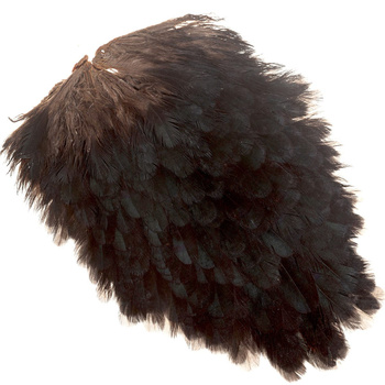 Sella di gallina FFGene India
