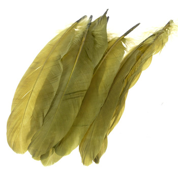FFGene Piume rigide della spalla d’oca